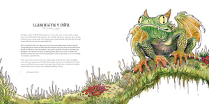 Welsh Monsters & Mythical Beasts eBook (Digital Download)