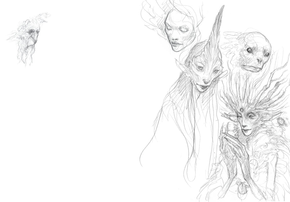 Faeries of the Faultlines: Faery Journal