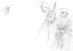 Faeries of the Faultlines: Faery Journal
