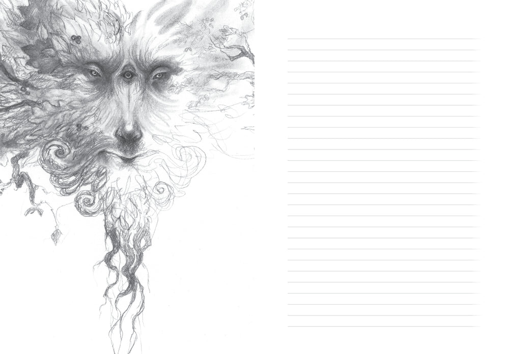 Faeries of the Faultlines: Faery Journal