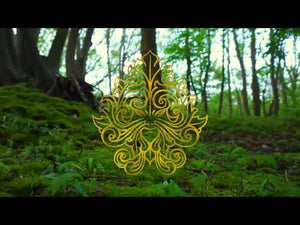
                
                    Load and play video in Gallery viewer, Faeries of the Faultlines book trailer. 
                
            